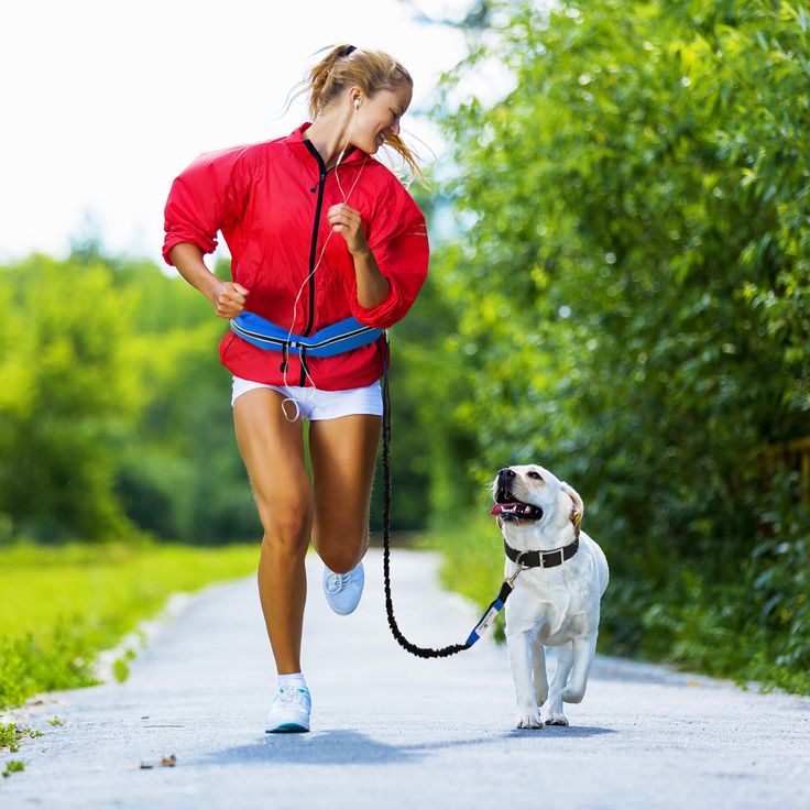PawPal™ RunFree Waist Leash