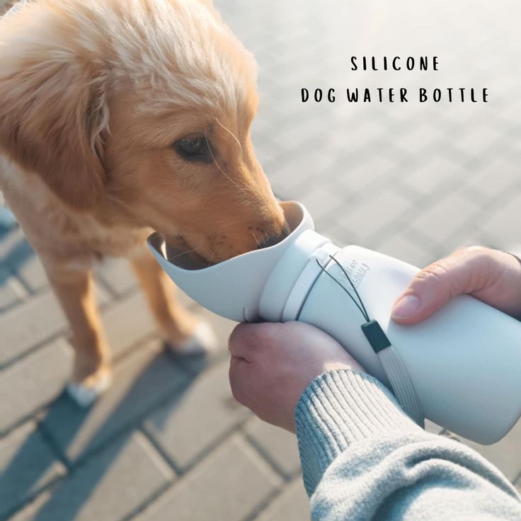 PawPal™ TravelMate Bottle (3-in-1)